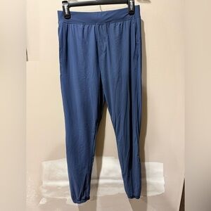 All in Motion Blue Joggers